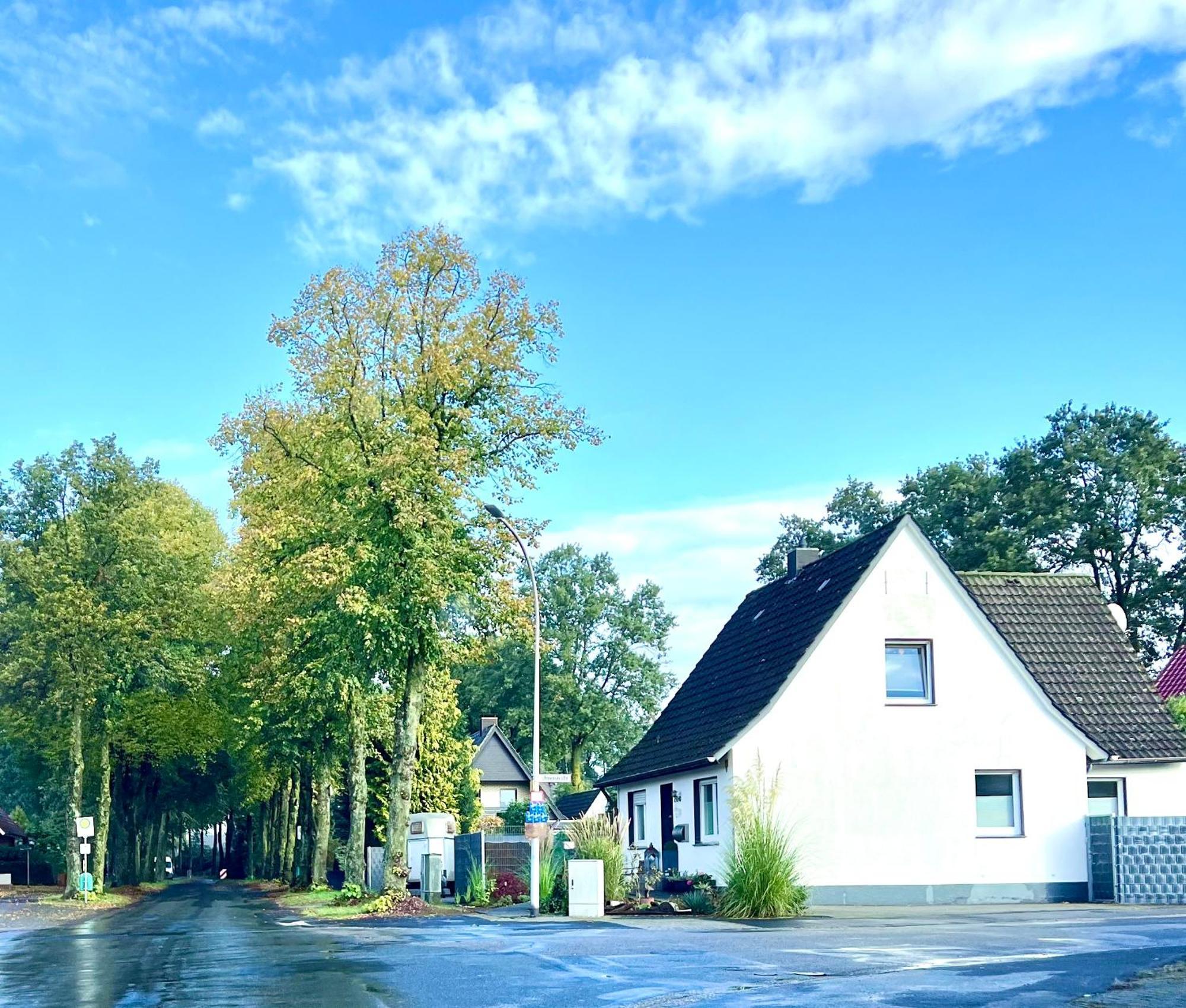Allee Zum See Schuettorf Exteriör bild
